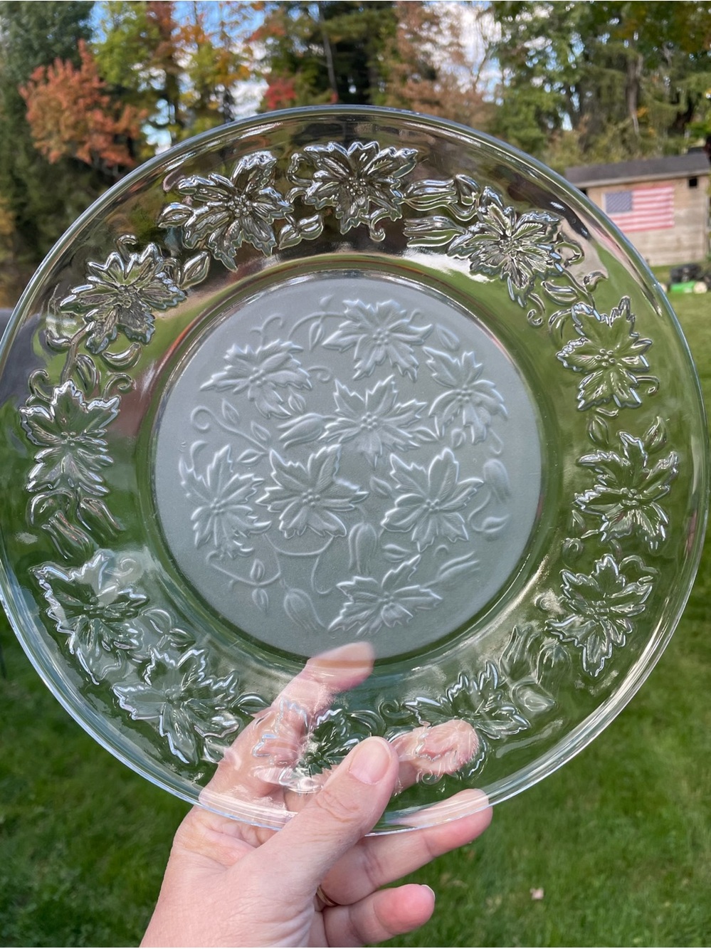 Dinner plates, Princess House Fantasia, excellent condition